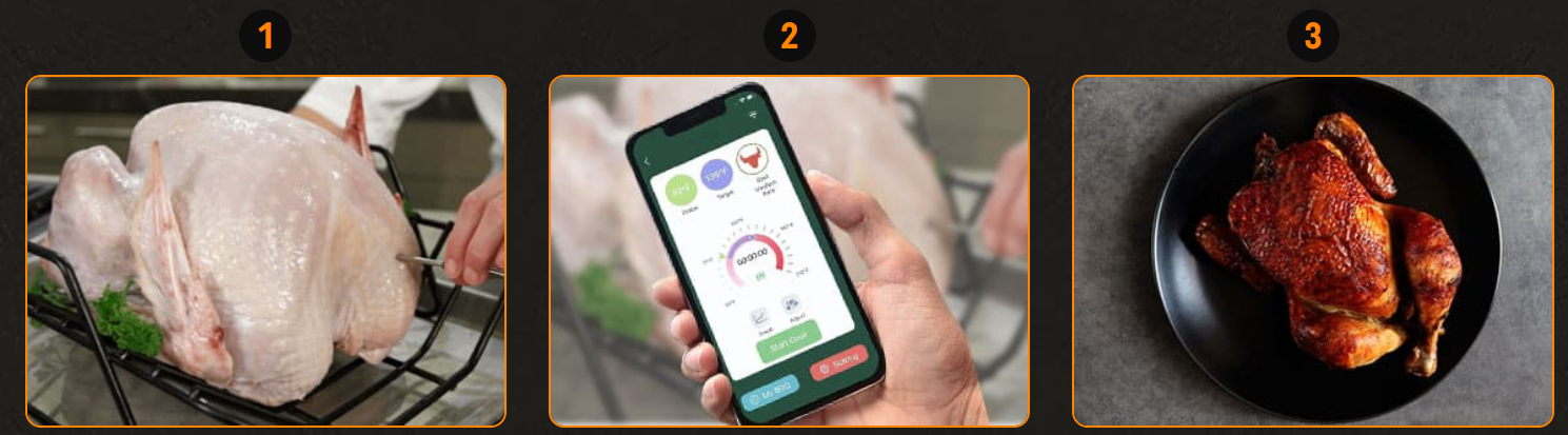 Wamoma Smart Thermometer Usage